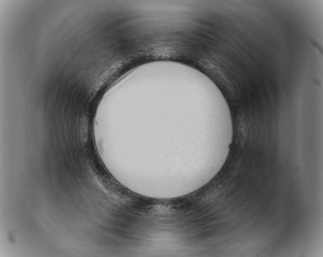 X0000102760496200809151018