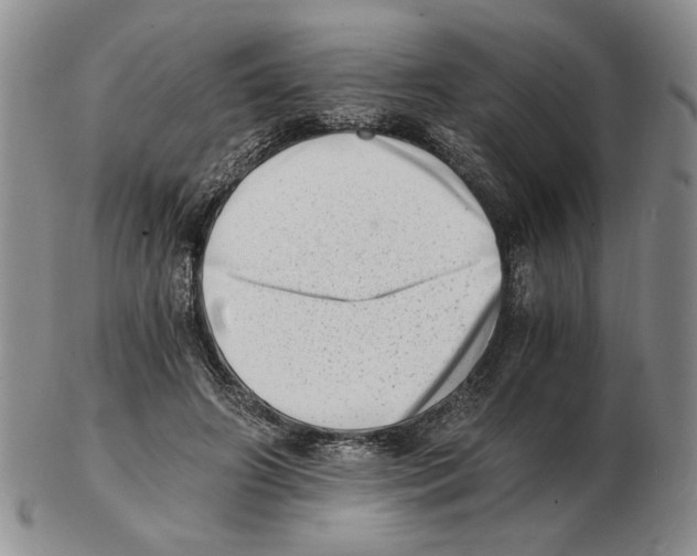 X0000102760498200809151018