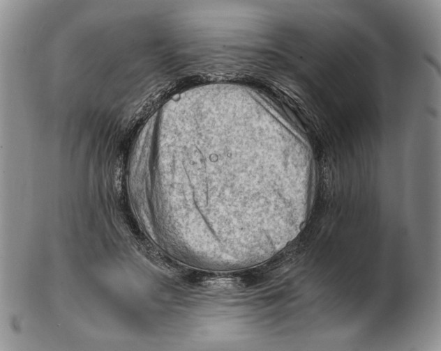 X0000102760499200809151018