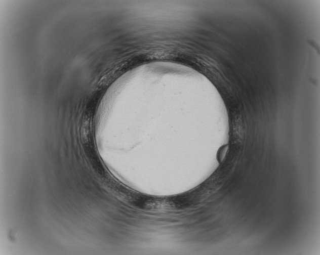 X0000102760503200809151018