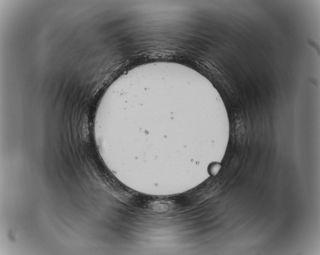 X0000102760508200809151018