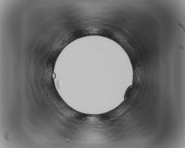 X0000102760509200809151018