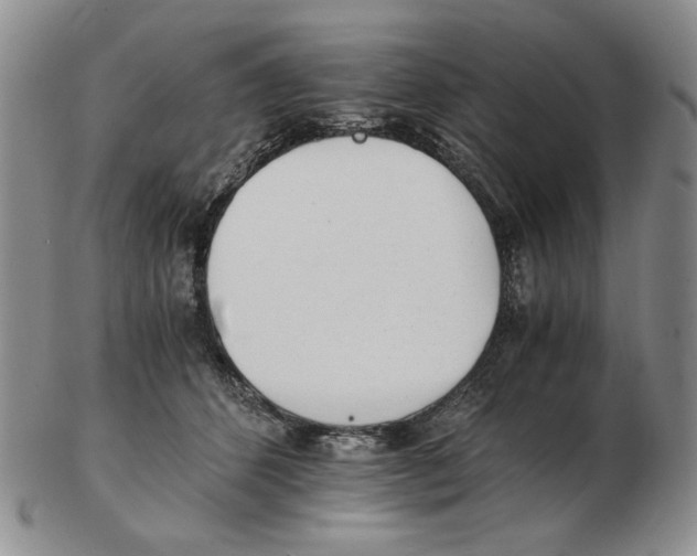 X0000102760512200809151018