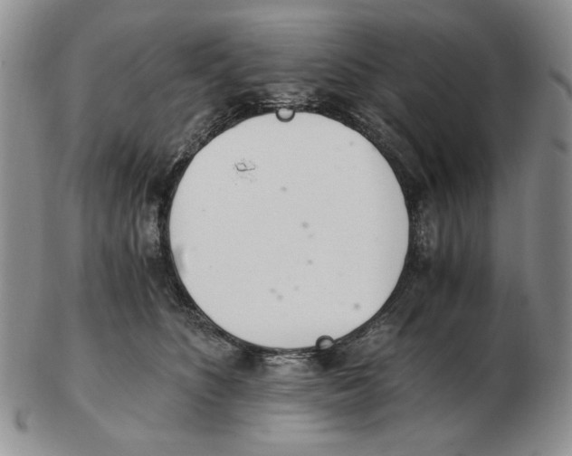 X0000102760516200809151017