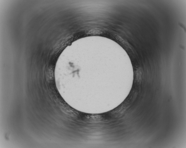 X0000102760517200809151017