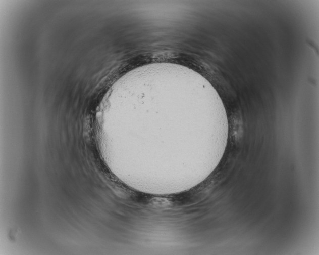 X0000102760519200809151017