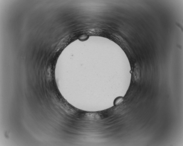 X0000102760520200809151017