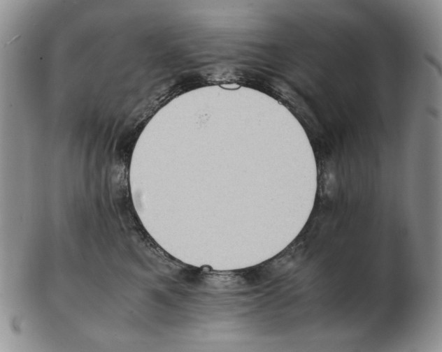 X0000102760521200809151017