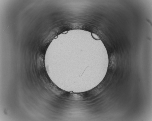 X0000102760522200809151017