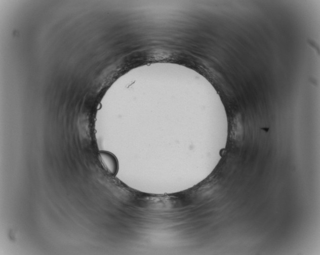 X0000102760524200809151017