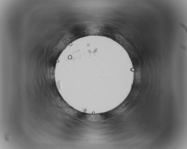 X0000102760525200809151017