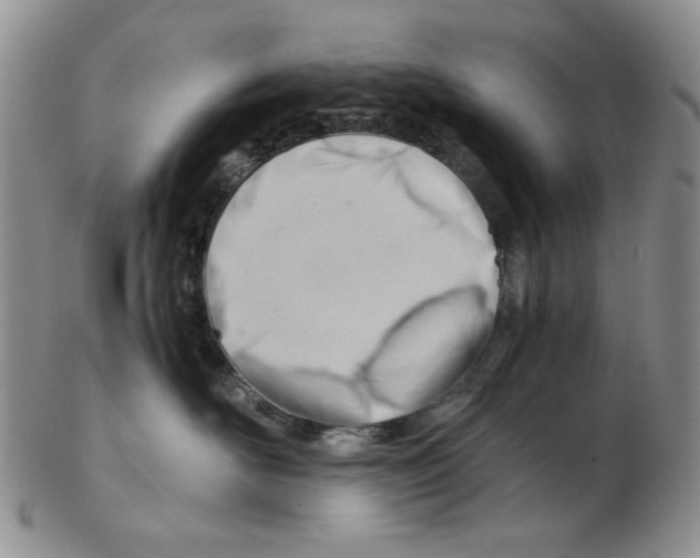 X0000102760526200809151017