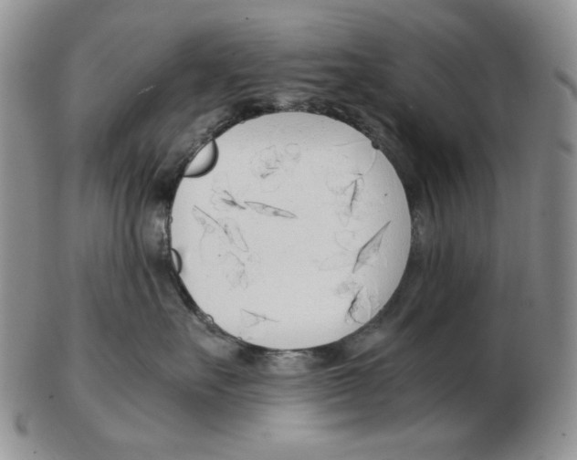 X0000102760527200809151017