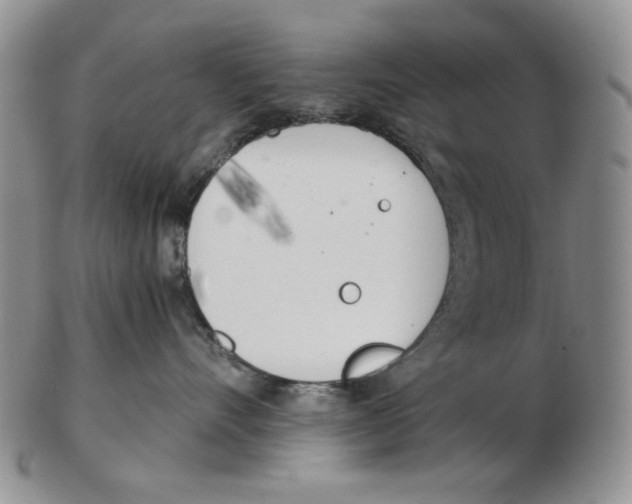 X0000102760528200809151017