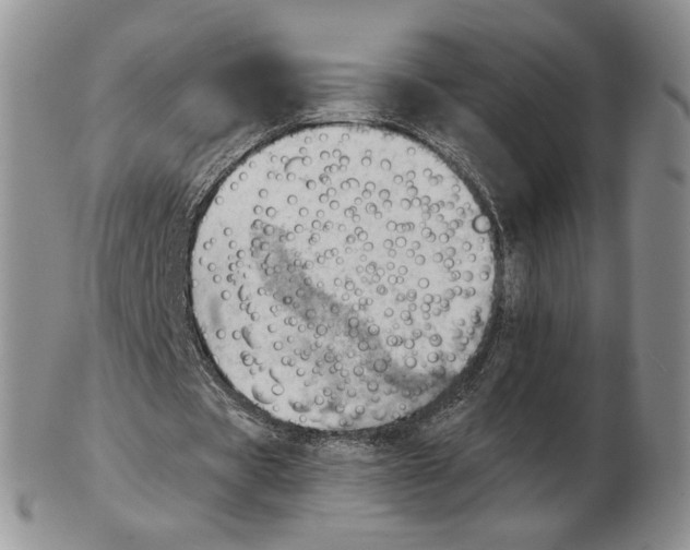 X0000102760529200809151016