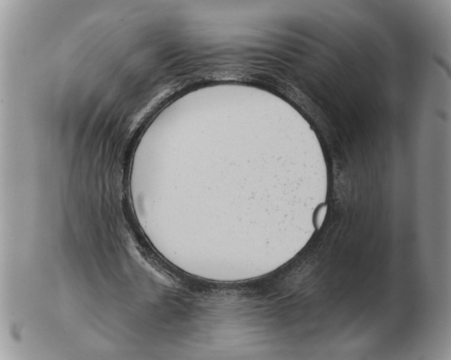 X0000102760530200809151016