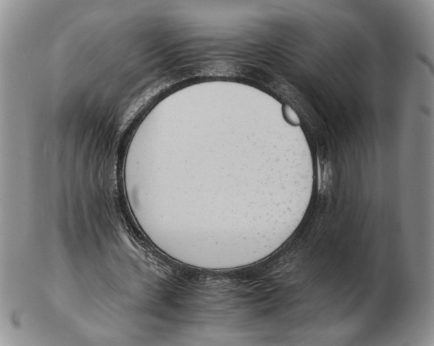 X0000102760531200809151017