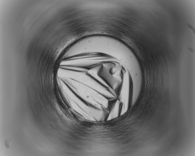 X0000102760534200809151017