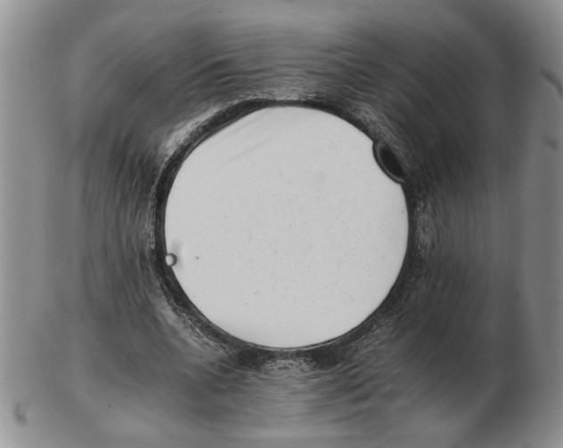 X0000102760536200809151017