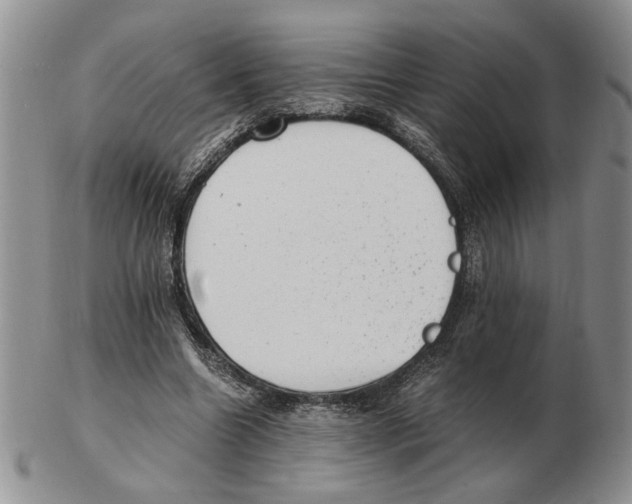 X0000102760538200809151017