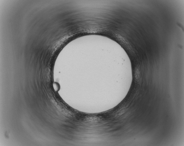 X0000102760540200809151017