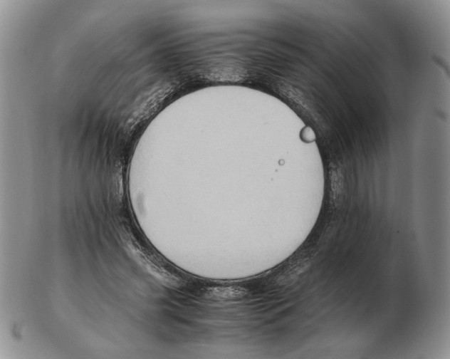 X0000102760541200809151017