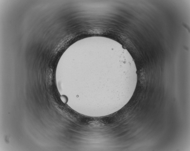 X0000102760544200809151017