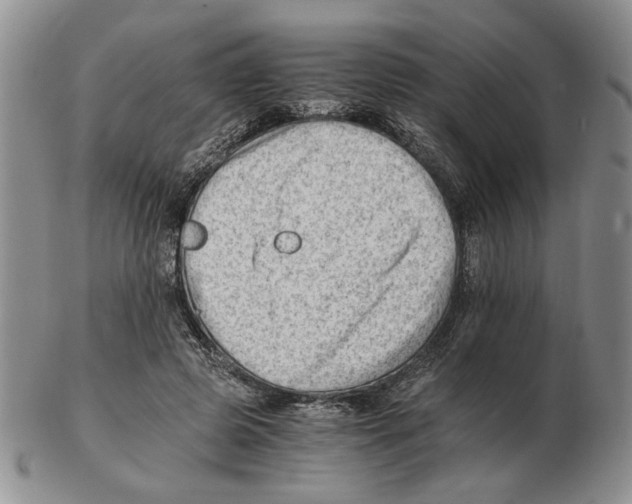 X0000102760545200809151017