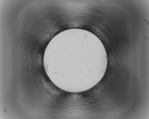 X0000102760546200809151017