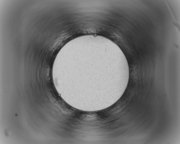 X0000102760548200809151017