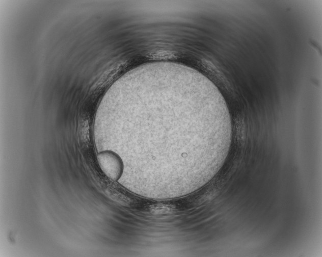 X0000102760549200809151017