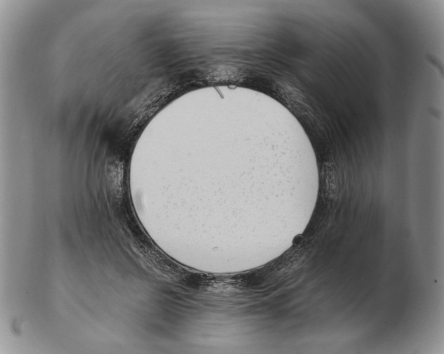 X0000102760550200809151017