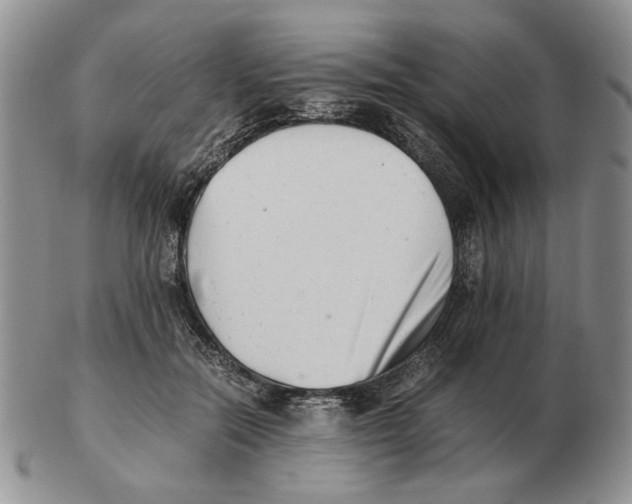 X0000102760554200809151017