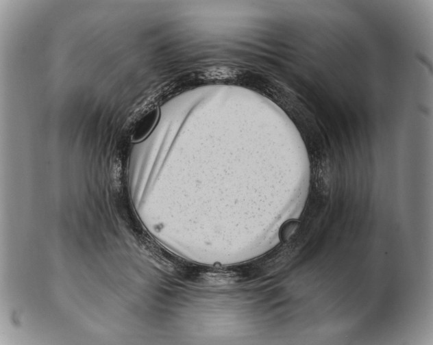 X0000102760556200809151017