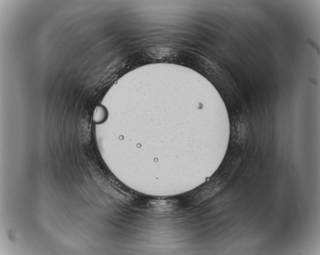 X0000102760558200809151017