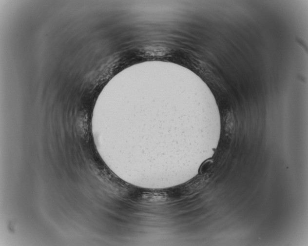 X0000102760559200809151017