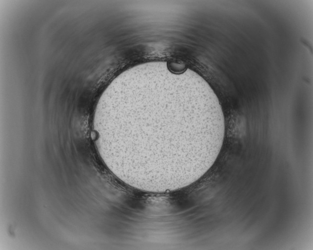 X0000102760560200809151017