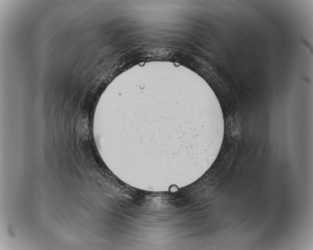 X0000102760564200809151017