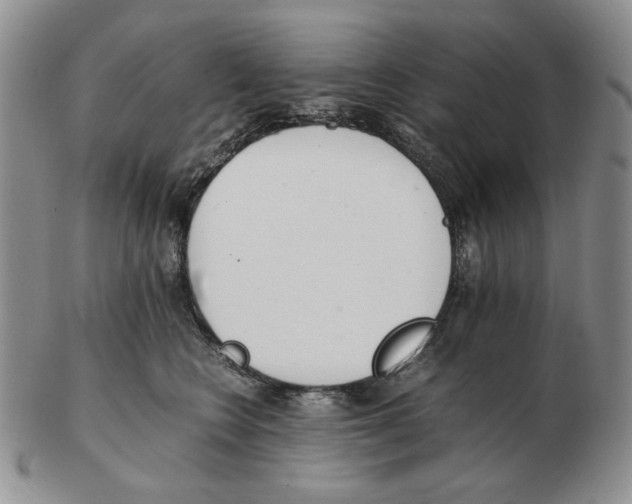 X0000102760566200809151017