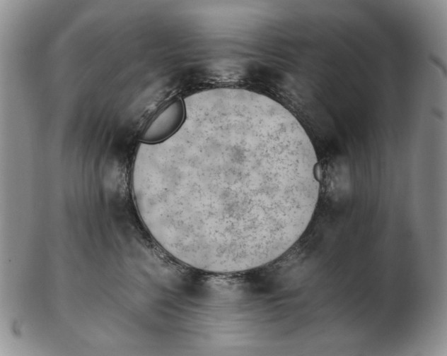 X0000102760568200809151017