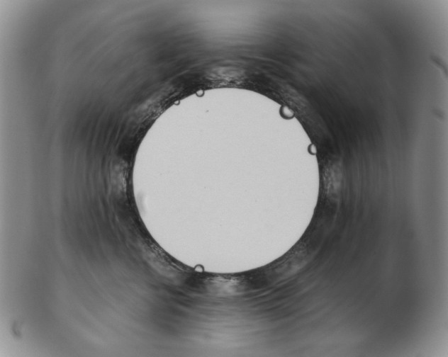 X0000102760570200809151017