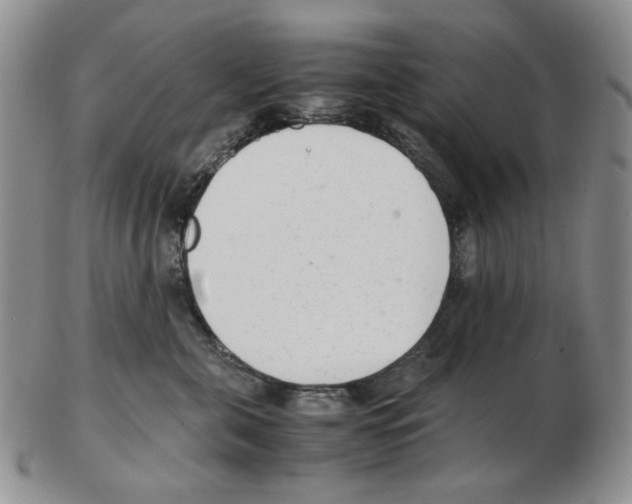 X0000102760571200809151017