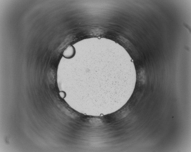 X0000102760572200809151017