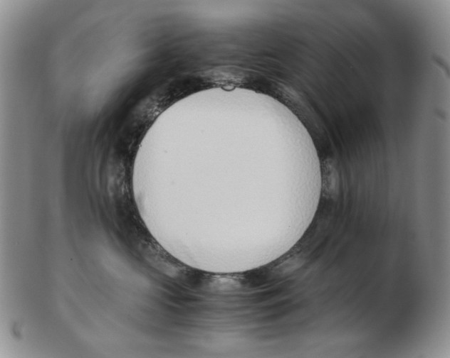 X0000102760573200809151017