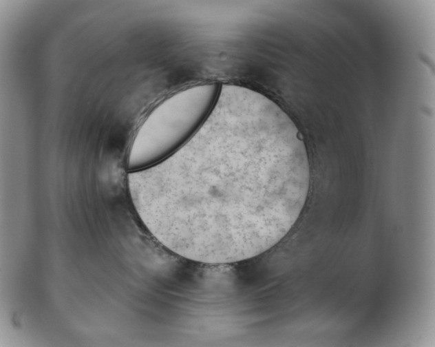 X0000102760576200809151017