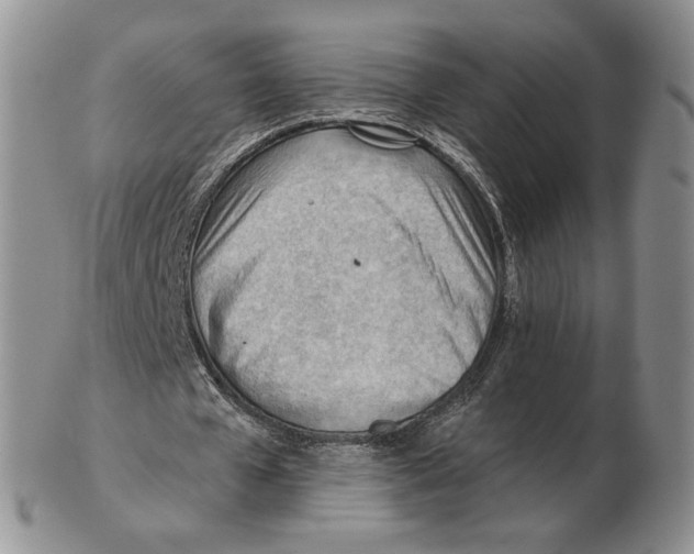 X0000102760577200809151016