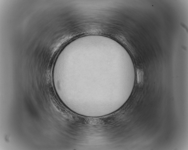 X0000102760579200809151016