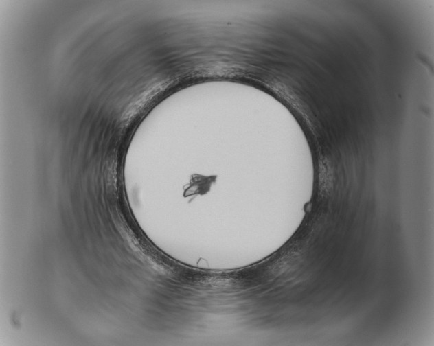 X0000102760581200809151016