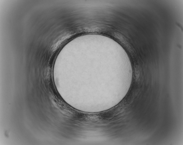 X0000102760583200809151016