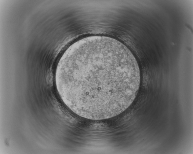 X0000102760584200809151016